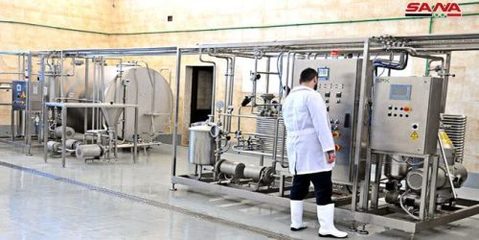 叙利亚消息:叙乳制品和乳酪实验室努力研发生产高品质产品